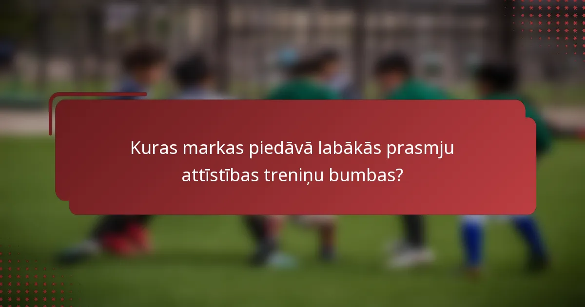 Kuras markas piedāvā labākās prasmju attīstības treniņu bumbas?