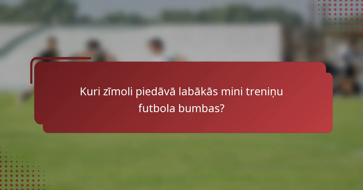 Kuri zīmoli piedāvā labākās mini treniņu futbola bumbas?